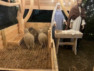 Prognoza wizyty duszpasterskiej w parafii św. Antoniego w Kotuniu w roku 2026